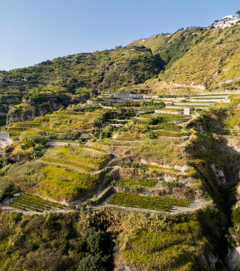 Terrazzamenti agricoli su una collina verdeggiante sotto un cielo sereno.